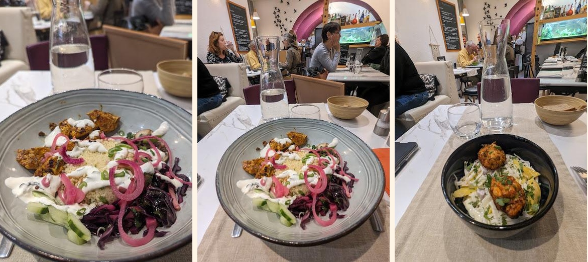 Koyal - Gallery Image 3